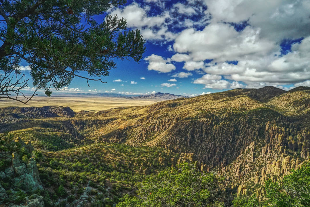 Chiricahua Plains