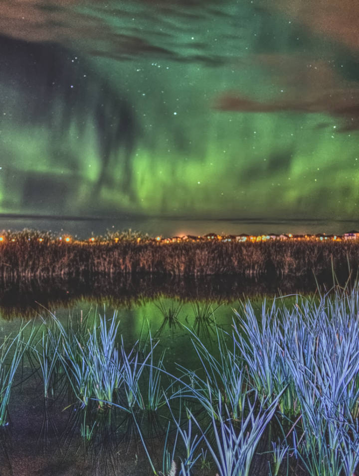 Saskatoon Park Aurora