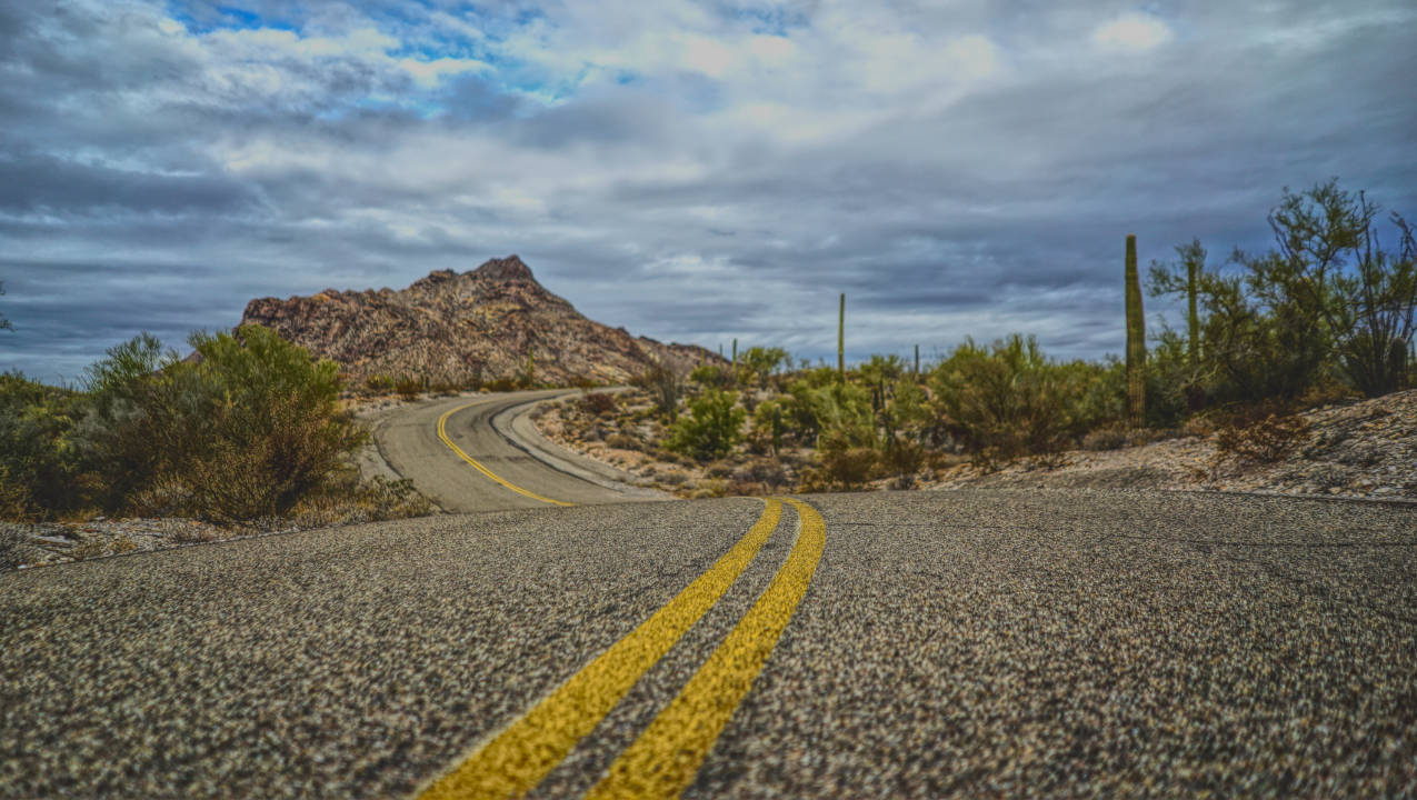 Windy Saguaro Road